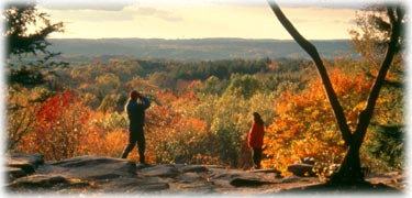 Insurance and annuity quotes